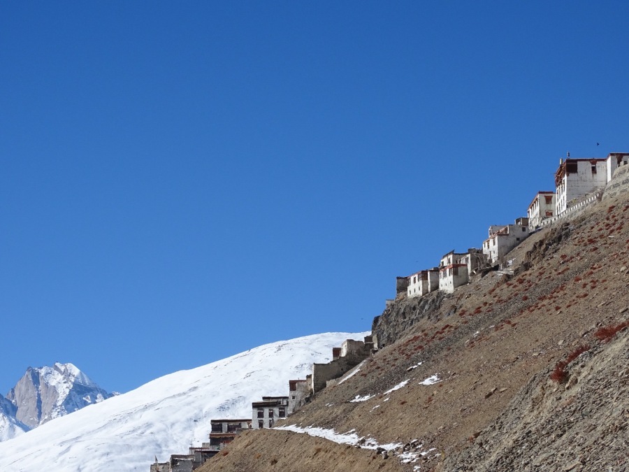  India - Discovering Zanskar on ski touring - from DELHI to LEH ...