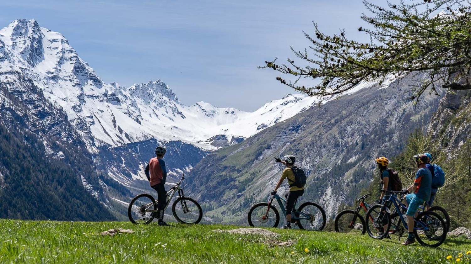 Alpine Bike Seven Springs Downhill Mountain Biking Bike Rental