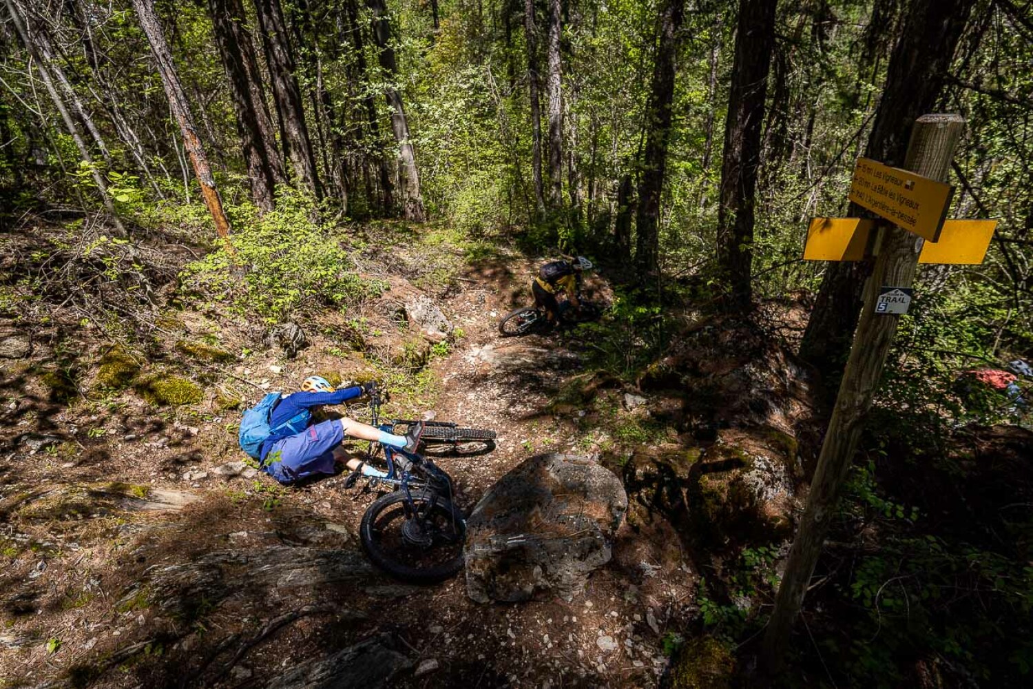 MTB Enduro Weekend Enduro essentials in Valle Stura with shuttles