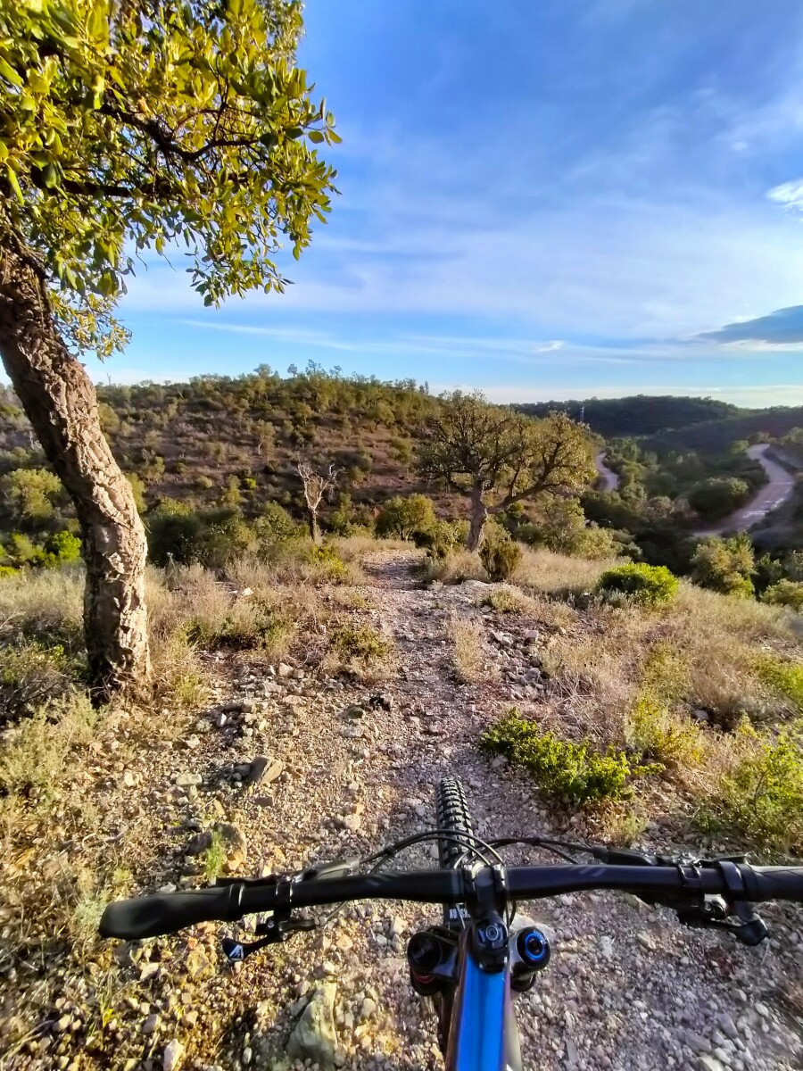 Electric mountain bike - Sunny ride in the Esterel - Côte d'Azur