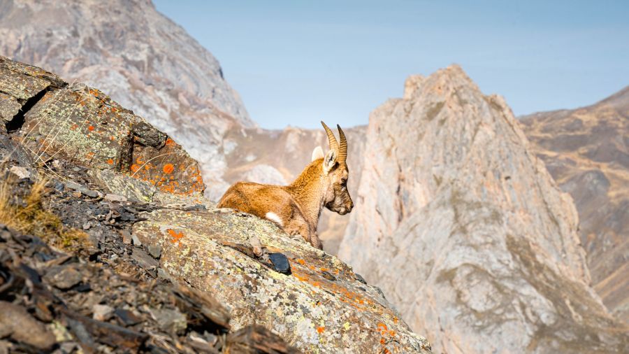 Rando cool et bien être dans les Alpes franco-italiennes