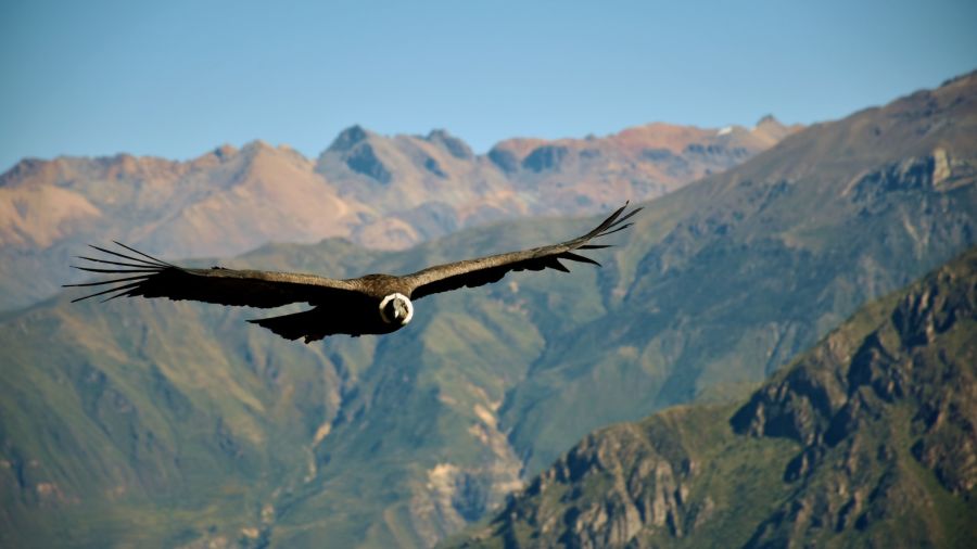 Rando, paysages sublimes et authenticité en Patagonie !