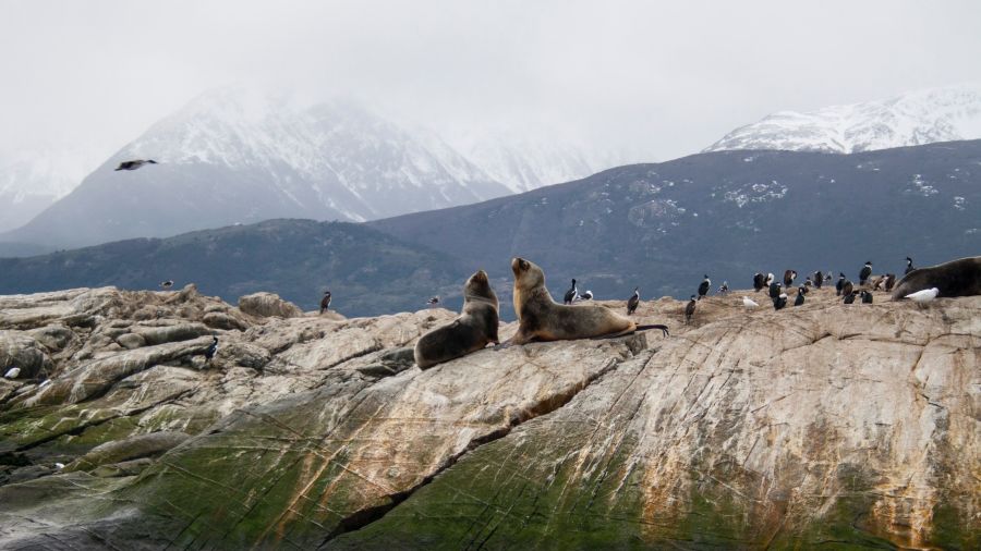 Rando, paysages sublimes et authenticité en Patagonie !