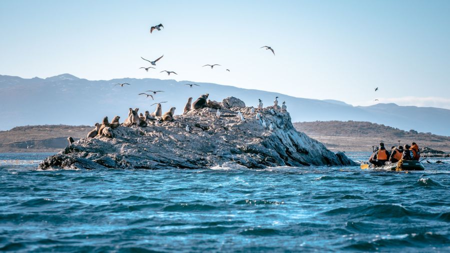 Rando, paysages sublimes et authenticité en Patagonie !