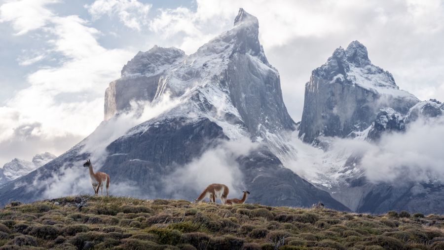 Rando, paysages sublimes et authenticité en Patagonie !