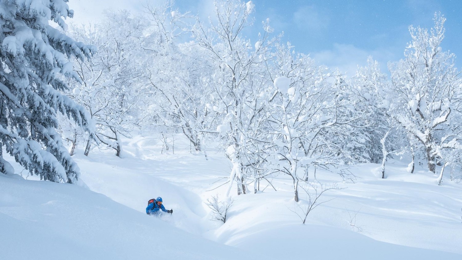 Skitrip freeride freerando Japon