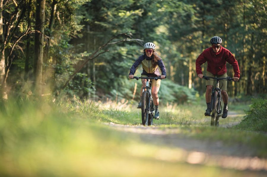 E-bike  - Easy ride in Provence in the Ocres of the Luberon