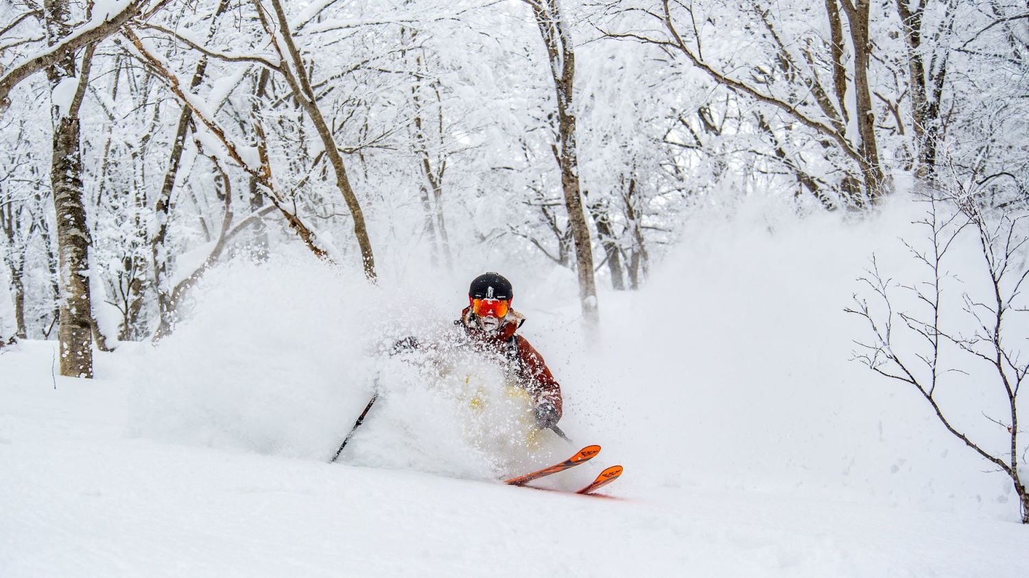 Voyage ski freeridefreerando Japon