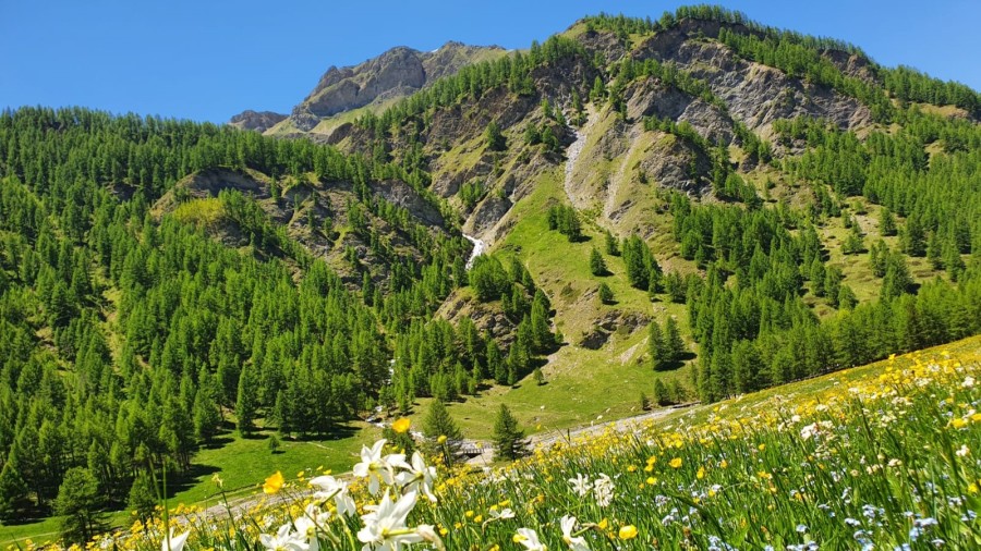 Cervières, randonnée dans le Briançonnais 